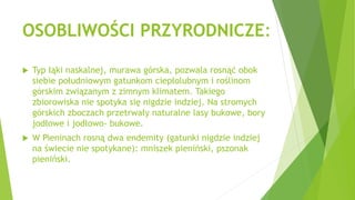 OSOBLIWOŚCI PRZYRODNICZE:
 Typ łąki naskalnej, murawa górska, pozwala rosnąć obok
siebie południowym gatunkom ciepłolubnym i roślinom
górskim związanym z zimnym klimatem. Takiego
zbiorowiska nie spotyka się nigdzie indziej. Na stromych
górskich zboczach przetrwały naturalne lasy bukowe, bory
jodłowe i jodłowo- bukowe.
 W Pieninach rosną dwa endemity (gatunki nigdzie indziej
na świecie nie spotykane): mniszek pieniński, pszonak
pieniński.
 