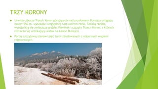 TRZY KORONY
 Urwiste zbocza Trzech Koron górujących nad przełomem Dunajca osiągają
nawet 550 m. wysokości względnej nad lustrem rzeki. Śmiałą rzeźbą
wyróżniają się zwłaszcza grzbiet Pieninek i szczyty Trzech Koron, z których
roztacza się urzekający widok na kanon Dunajca.
 Partię szczytową stanowi pięć turni zbudowanych z odpornych wapieni
rogowcowych.
 