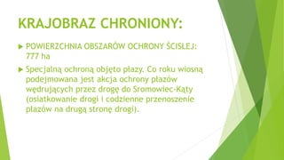 KRAJOBRAZ CHRONIONY:
 POWIERZCHNIA OBSZARÓW OCHRONY ŚCISŁEJ:
777 ha
 Specjalną ochroną objęto płazy. Co roku wiosną
podejmowana jest akcja ochrony płazów
wędrujących przez drogę do Sromowiec-Kąty
(osiatkowanie drogi i codzienne przenoszenie
płazów na drugą stronę drogi).
 