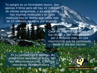 Tu sangre es un formidable tesoro. Son apenas 4 litros pero allí hay 22 millones de células sanguíneas, y en cada célula hay muchas moléculas y en cada molécula hay un átomo que oscila más de 10 millones de veces por segundo. Cada día mueren 2 millones de tus células y son reemplazadas por 2 millones más, en una resurrección que ha continuado desde el día que naciste. En tu cerebro hay 4 millones de estructuras sensibles al dolor, 500 mil detectores táctiles, y 200 mil detectores de temperatura... 