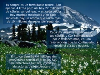 Tu sangre es un formidable tesoro. Son
apenas 4 litros pero allí hay 22 millones
de células sanguíneas, y en cada célula
hay muchas moléculas y en cada
molécula hay un átomo que oscila más
de 10 millones de veces por segundo.
Cada día mueren 2 millones de
tus células y son reemplazadas
por 2 millones más, en una
resurrección que ha continuado
desde el día que naciste.
En tu cerebro hay 4 millones de
estructuras sensibles al dolor, 500
mil detectores táctiles, y 200 mil
detectores de temperatura...
 