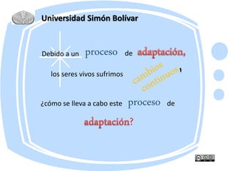 Universidad Simón Bolívar
Debido a un de
proceso de
proceso
?
los seres vivos sufrimos
¿cómo se lleva a cabo este