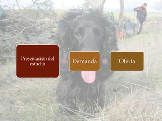 Presentación del
    estudio        Demanda   Oferta
 