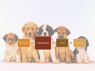 Presentación
 del estudio   Demanda   Oferta   Conclusión
 