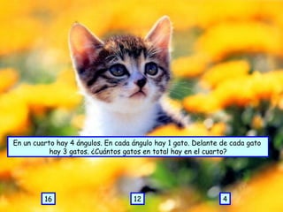 En un cuarto hay 4 ángulos. En cada ángulo hay 1 gato. Delante de cada gato  hay 3 gatos. ¿Cuántos gatos en total hay en el cuarto? 4 12 16 
