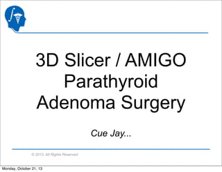 3D Slicer / AMIGO
Parathyroid
Adenoma Surgery
Cue Jay...
© 2013, All Rights Reserved

Monday, October 21, 13

 