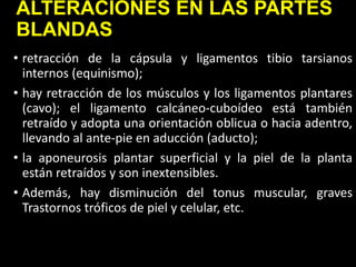 ALTERACIONES EN LAS PARTES
BLANDAS
• retracción de la cápsula y ligamentos tibio tarsianos
internos (equinismo);
• hay retracción de los músculos y los ligamentos plantares
(cavo); el ligamento calcáneo-cuboídeo está también
retraído y adopta una orientación oblicua o hacia adentro,
llevando al ante-pie en aducción (aducto);
• la aponeurosis plantar superficial y la piel de la planta
están retraídos y son inextensibles.
• Además, hay disminución del tonus muscular, graves
Trastornos tróficos de piel y celular, etc.
 
