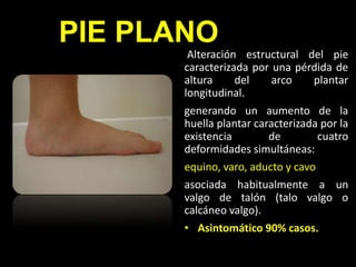 Especialista en pie plano, pie cavo, rotación interna, rotación externa y elaboración de férulas, taloneras y plantillas ortopédicas
