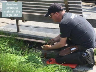 Hands-on
efforts to
maintain the
High Line
 