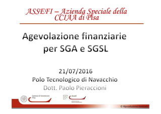 ASSEFIASSEFI –– Azienda Speciale dellaAzienda Speciale della
CCIAA di PisaCCIAA di Pisa
 