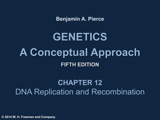 GENETICS
A Conceptual Approach
FIFTH EDITION
Benjamin A. Pierce
CHAPTER 12
DNA Replication and Recombination
© 2014 W. H. Freeman and Company
 