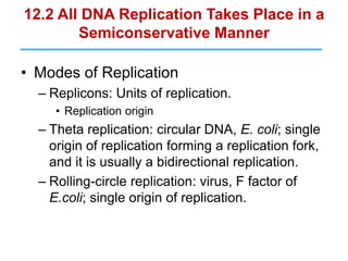 Pierce5e_ch12_replication dna replication | PPT
