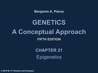 GENETICS
A Conceptual Approach
FIFTH EDITION
Benjamin A. Pierce
CHAPTER 21
Epigenetics
© 2014 W. H. Freeman and Company
 