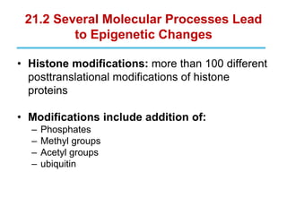 21.2 Several Molecular Processes Lead
to Epigenetic Changes
• Histone modifications: more than 100 different
posttranslational modifications of histone
proteins
• Modifications include addition of:
– Phosphates
– Methyl groups
– Acetyl groups
– ubiquitin
 