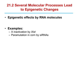 21.2 Several Molecular Processes Lead
to Epigenetic Changes
• Epigenetic effects by RNA molecules
• Examples:
– X inactivation by Xist
– Paramutation in corn by siRNAs
 
