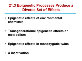 21.3 Epigenetic Processes Produce a
Diverse Set of Effects
• Epigenetic effects of environmental
chemicals
• Transgenerational epigenetic effects on
metabolism
• Epigenetic effects in monozygotic twins
• X inactivation
 