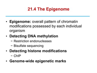 21.4 The Epigenome
• Epigenome: overall pattern of chromatin
modifications possessed by each individual
organism
• Detecting DNA methylation
− Restriction endonucleases
− Bisulfate sequencing
• Detecting histone modifications
− ChIP
• Genome-wide epigenetic marks
 