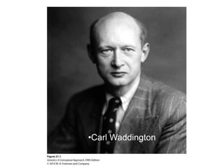 •Carl Waddington
 