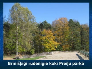 Brīnišķīgi rudenīgie koki Preiļu parkā 