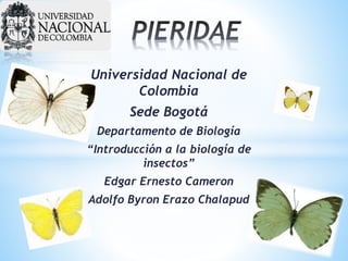 Universidad Nacional de
Colombia
Sede Bogotá
Departamento de Biología
“Introducción a la biología de
insectos”
Edgar Ernesto Cameron
Adolfo Byron Erazo Chalapud
 