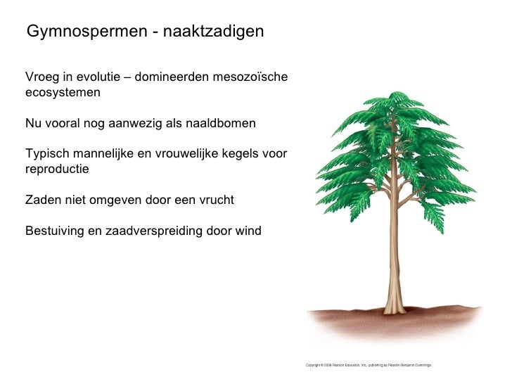 Plantenbiologie College 11