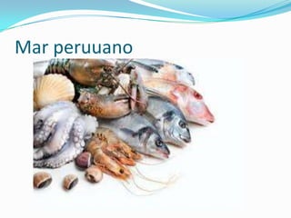 Mar peruuano