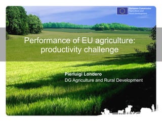 Performance of EU agriculture: productivity challenge Pierluigi Londero DG Agriculture and Rural Development 