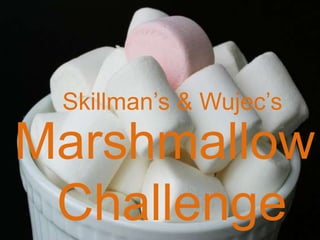 Skillman’s & Wujec’sMarshmallow Challenge