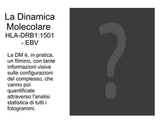 La Dinamica
Molecolare
HLA-DRB1:1501
- EBV
La DM è, in pratica,
un filmino, con tante
informazioni visive
sulle configurazioni
del complesso, che
vanno poi
quantificate
attraverso l'analisi
statistica di tutti i
fotogrammi.
 