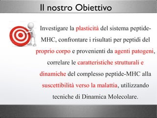 Investigare la plasticità del sistema peptide-
MHC, confrontare i risultati per peptidi del
proprio corpo e provenienti da agenti patogeni,
correlare le caratteristiche strutturali e
dinamiche del complesso peptide-MHC alla
suscettibilità verso la malattia, utilizzando
tecniche di Dinamica Molecolare.
Il nostro Obiettivo
 