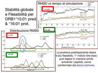 Stabilità globale
e Flessibilità per
DRB1*15:01 pred.
& *16:01 prot.
La proteina predisponente libera
è più flessibile, 1o
indizio che esso
può legare in maniera simile
entrambi i peptidi, come
confermato dal picco comune.
RMSD vs tempo di simulazione
Distribuzione RMSD
 