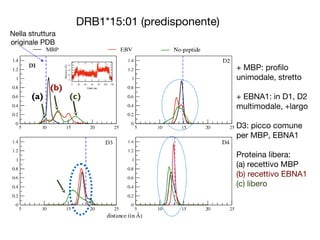 DRB1*15:01 (predisponente)
(a)
(b)
(c)
Nella struttura
originale PDB
+ MBP: profilo
unimodale, stretto
+ EBNA1: in D1, D2
multimodale, +largo
D3: picco comune
per MBP, EBNA1
Proteina libera:
(a) recettivo MBP
(b) recettivo EBNA1
(c) libero
 