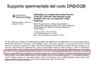 Supporto sperimentale del ruolo DRB/DQB
 