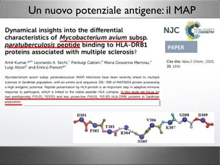 Un nuovo potenziale antigene: il MAP
 