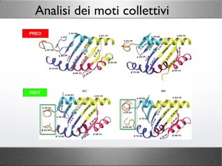 Analisi dei moti collettivi
 