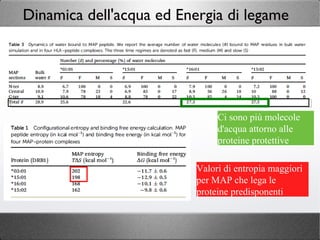 Dinamica dell'acqua ed Energia di legame
Ci sono più molecole
d'acqua attorno alle
proteine protettive
Valori di entropia maggiori
per MAP che lega le
proteine predisponenti
 