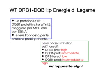 WT DRB1-DQB1:p Energie di Legame
Level of discrimination
self/nonself:
 DRB1-prot: high
 DQB1-prot: intermediate,
 DRB1-pred: low
 DQB1-pred: intermediate to
high
w/ 'opposite sign'
 La proteina DRB1-
DQB1 protettiva ha affinità
maggiore per MBP che
per EBNA;
 e vale l'opposto per la
proteina predisponente.
 