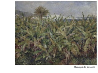 El campo de plátanos
 
