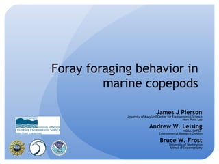 Foray foraging behavior in marine copepods James J Pierson University of Maryland Center for Environmental Science Horn Point Lab Andrew W. Leising NOAA/SWFSC  Environmental Research Division Bruce W. Frost University of Washington School of Oceanography 