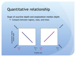 Quantitative relationship Slope of oxycline depth and zooplankton median depth Compare between regions, sizes, and times 