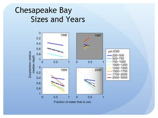 Chesapeake Bay Sizes and Years 