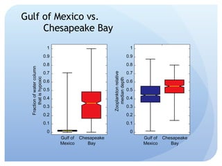 Gulf of Mexico vs.  Chesapeake Bay 