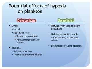 Potential effects of hypoxia on plankton Direct Lethal Sub-lethal, e.g. Slowed development Reduced reproductive success Indirect Habitat reduction Trophic interactions altered Refuge from less tolerant predators Habitat reduction could enhance prey encounter rates Selection for some species 
