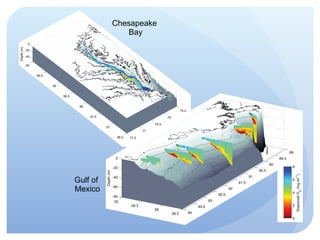 Chesapeake  Bay Gulf of  Mexico 