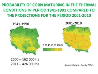 PROBABILITY OF CORN MATURING IN THE THERMAL
CONDITIONS IN PERIOD 1941-1991 COMPARED TO
THE PROJECTIONS FOR THE PERIOD 2001-2010
2001-2010

1941-1990

0 20 40 60 80 100 %

2000 – 162 000 ha
2011 – 426 000 ha

Source: Kozyra i Gorski 2004

 