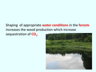 Shaping of appropriate water conditions in the forests
increases the wood production which increase
sequestration of CO2.

 