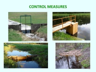 CONTROL MEASURES

29

 