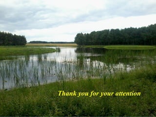 Thank you for your attention

 