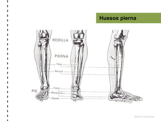 Silvia G.Guzmán!
	
  -­‐	
  -­‐	
  -­‐	
  -­‐	
  -­‐	
  -­‐	
  -­‐	
  -­‐	
  -­‐	
  -­‐	
  -­‐	
  -­‐	
  -­‐	
  -­‐	
  -­‐...