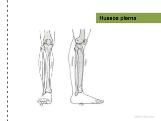 Silvia G.Guzmán!
	
  -­‐	
  -­‐	
  -­‐	
  -­‐	
  -­‐	
  -­‐	
  -­‐	
  -­‐	
  -­‐	
  -­‐	
  -­‐	
  -­‐	
  -­‐	
  -­‐	
  -­‐...